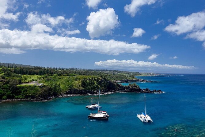 Fun & Affordable! West Maui Open-Air Sightseeing Tour! - Honolua Bay Lookout: The Coast You Came for