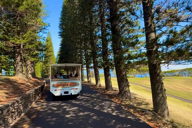 Fun & Affordable! West Maui Open-Air Sightseeing Tour! - Driver-Led Storytelling: The Part That Makes It Feel Personal