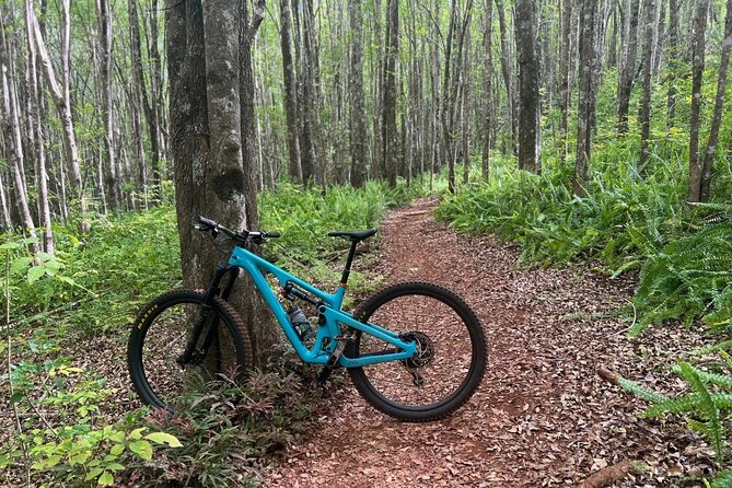 Fun Mountain Bike riding on trails in Maui Hawaii! - Key Highlights You’ll Actually Feel on the Trail