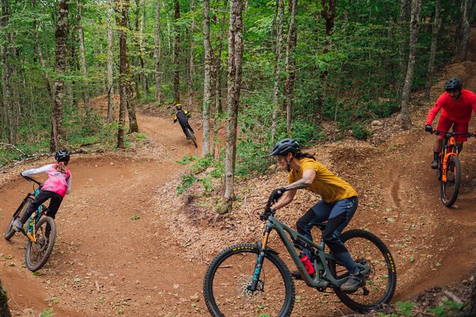 Fun Mountain Bike riding on trails in Maui Hawaii! - Families, Mixed Groups, and Non-Riders Who Still Want Maui