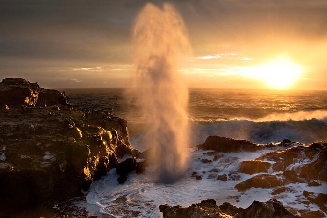 Fun! Open-Air Banyan Tree Forest & Blowhole Sight-Seeing MauiTour - Key Things That Make This Tour Worth Your Time