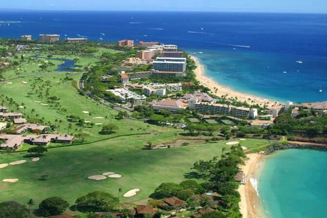 Fun! Open-Air Banyan Tree Forest & Blowhole Sight-Seeing MauiTour - Coffee Farms Overlook and Kapalua: Where the Tour Adds Local Texture