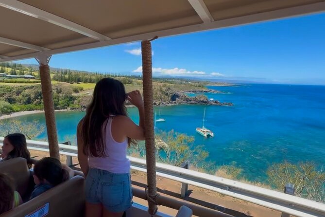 Fun! Open-Air Banyan Tree Forest & Blowhole Sight-Seeing MauiTour - Comfort on an Open-Air Vehicle: Breezy, Safe, and Photo-Friendly
