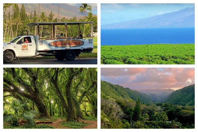 Fun! Open-Air Banyan Tree Forest & Blowhole Sight-Seeing MauiTour - Nakalele Blowhole: The Stop Where Nature Puts On a Show