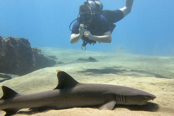 Guided Scuba Dive in Lahaina: Certified - The Pace and Timing: Roughly 2 Hours With a Shore Start