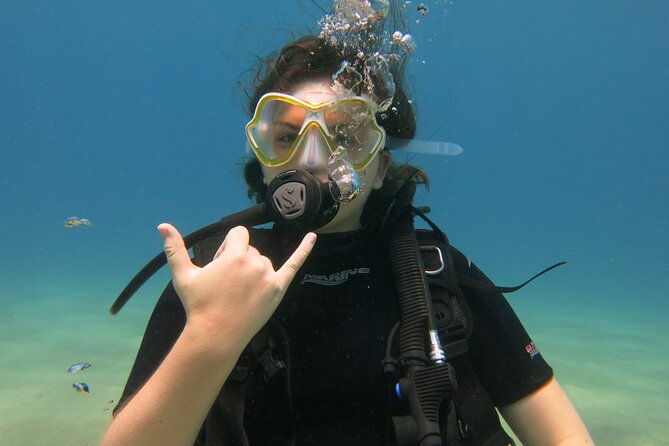 Guided Scuba Dive in Lahaina: Certified - Who This Works Best For (And Who Might Want a Different Option)