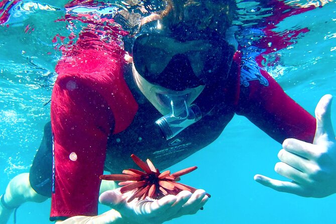 Guided Snorkeling for Beginners with Flotation Wetsuit - Key things that make this beginner snorkeling stand out