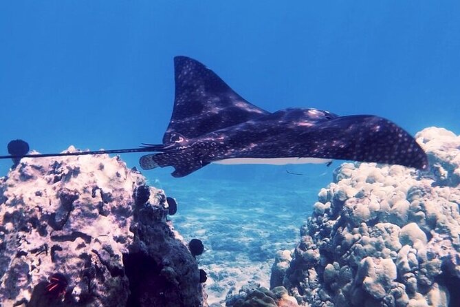Guided Snorkeling for Beginners with Flotation Wetsuit - How the 2–2.5 hour format stays beginner-friendly