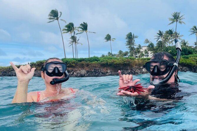 Guided Snorkeling for Beginners with Flotation Wetsuit - Who the instruction style fits best (and who might want a different day)