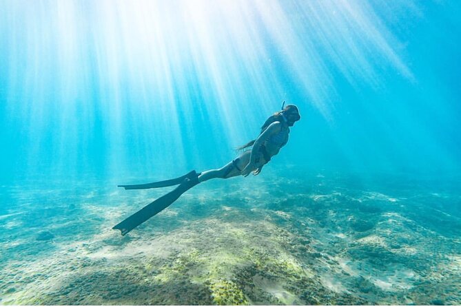 Guided Snorkeling for Beginners with Flotation Wetsuit - What you get for $139: value in gear, guidance, and time