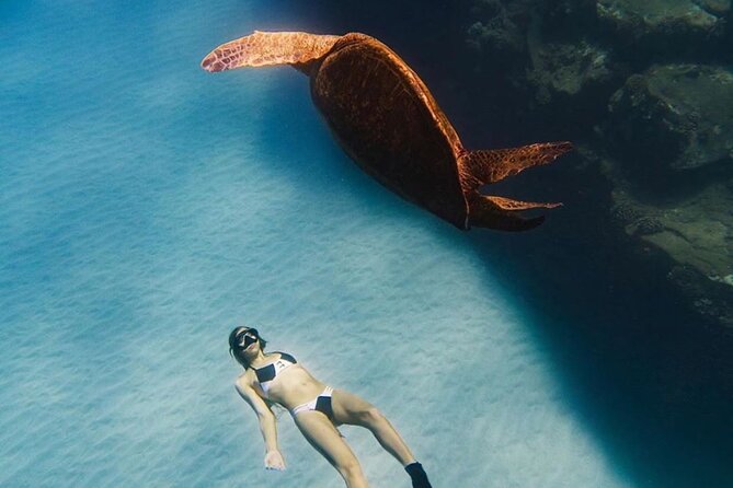 Guided Snorkeling for Beginners with Flotation Wetsuit - Guide team: Barbie and Niko, with a safety-first teaching rhythm