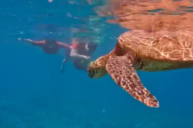 Guided Snorkeling for Beginners with Flotation Wetsuit - Add-ons and photo/video expectations: ask, test, and confirm