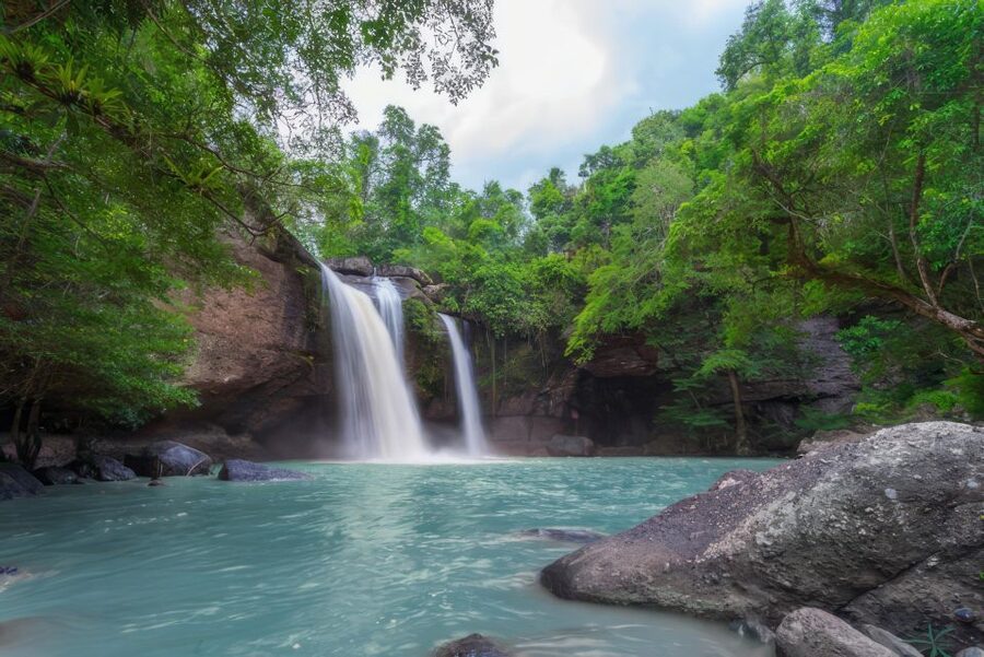 Haiku: Waterfall, Rainforest, and Handcrafted Chocolate Tour - The Easy Mini Hike Through Giant Prehistoric Fern Country