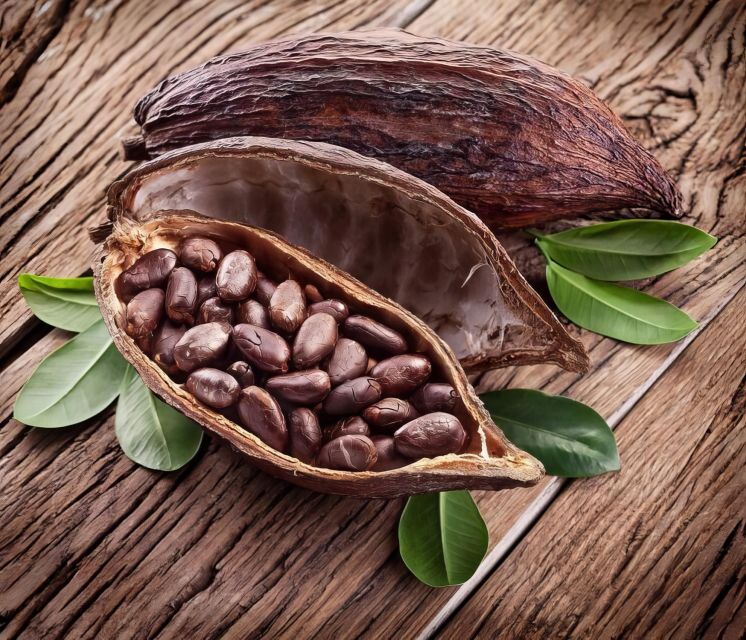 Haiku: Waterfall, Rainforest, and Handcrafted Chocolate Tour - Price and Value: Is $128 Reasonable for Maui?