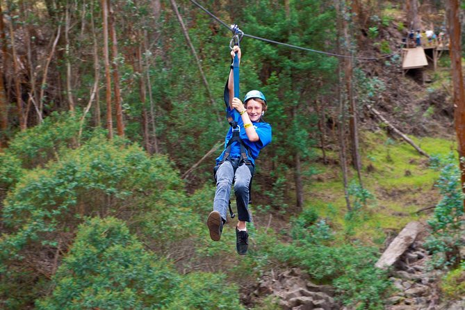 Haleakala 6 Line Zipline Adventure - Start Point: Skyline Hawaii in Kula and What Happens Before You Fly