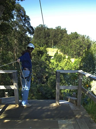 Haleakala 6 Line Zipline Adventure - Price and Value: Is $157.02 Worth It?