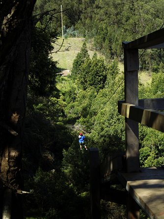 Haleakala 6 Line Zipline Adventure - Who This Tour Works Best For