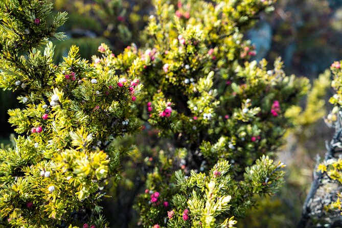 Haleakala Crater Hiking Experience - Lunch, Snacks, and Keeping Your Body on Track
