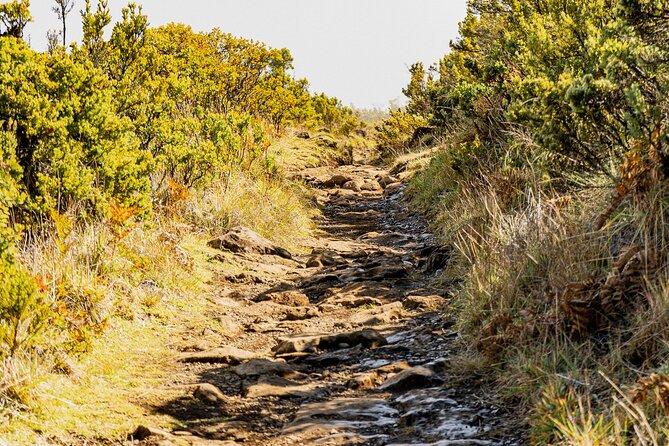 Haleakala Crater Hiking Experience - Weather Reality on Haleakala (And What to Wear)