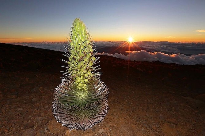 Haleakala Maui Sunset Twilight Tour with Dinner - Crater Overlook at 9,740 Feet: Lunar Cinder Cones and Horizon Drama