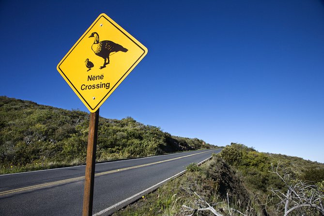 Haleakala Sunset and Stargazing Audio Tour - Sliding Sands and Red Hill: where you choose your effort level