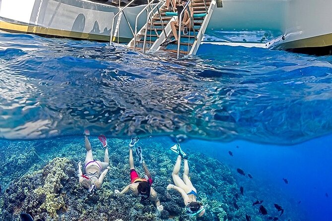 Half-Day Deluxe Molokini Snorkel Excursion in Maui - Seasonal wildlife: Turtle Town in summer, whale watching in winter