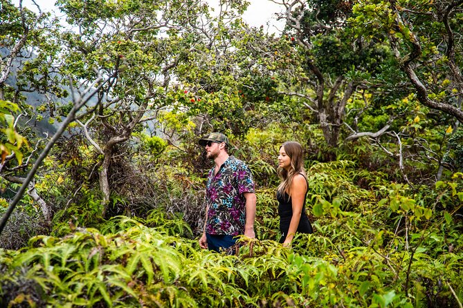 Half Day Private VIP Road to Hana Tour - Ho‘okipa Beach Park: surfers, extreme sports, and easy viewing