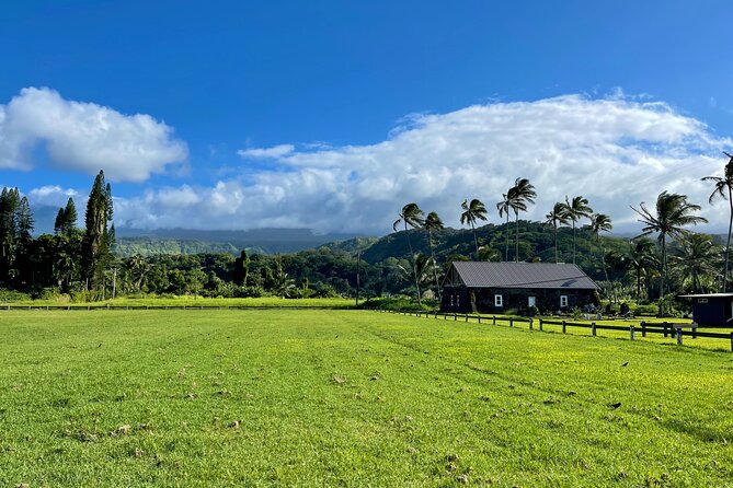 Half Day Private VIP Road to Hana Tour - Ke‘anae Arboretum: plants and place, with a small dose of history