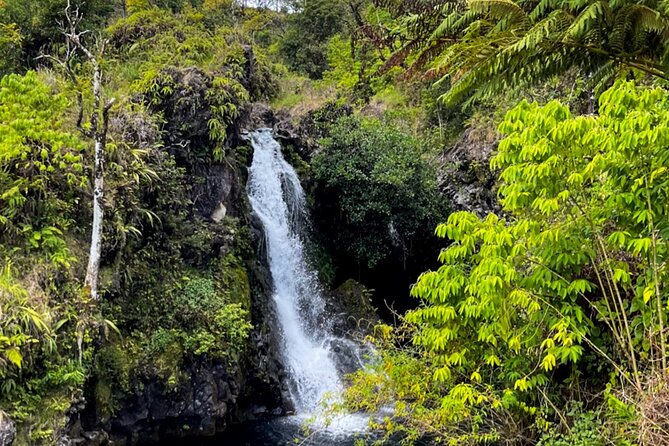 Half Day Private VIP Road to Hana Tour - Ke‘anae Point banana bread: the classic food stop that actually matters