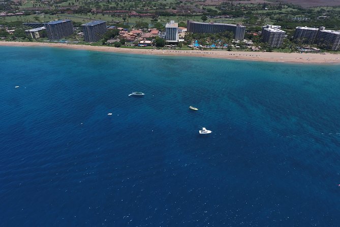 Half Day Snorkel to Lanai from Kaanapali Beach + Dolphin Search - Gear, safety, and what to pack (so you’re not that person)