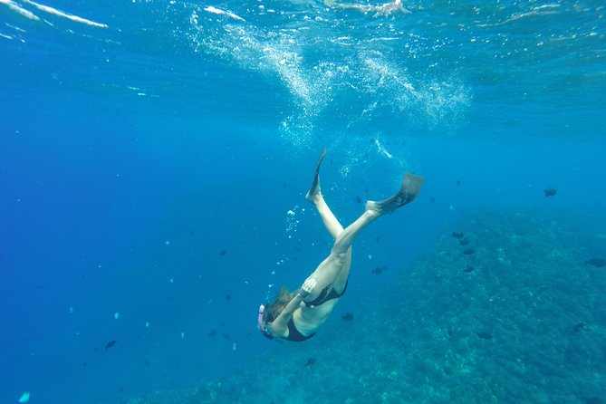 Half Day Snorkel to Lanai from Kaanapali Beach + Dolphin Search - The schedule around Kaanapali: how your morning is set up