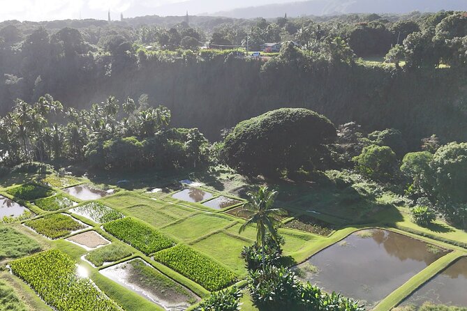 Halfway Road to Hana - Small Group — Taste of Hana & Waterfalls - What I’d pack (so the half-day doesn’t get annoying)