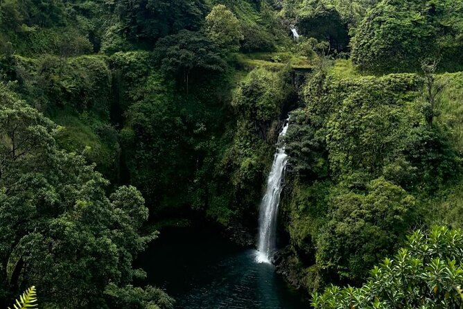 Halfway Road to Hana - Small Group — Taste of Hana & Waterfalls - The van ride: comfort, safety, and motion-sickness reality