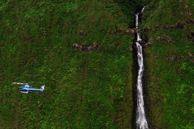 Hana Rainforest Scenic Helicopter Tour - Should You Book This Hana Rainforest Scenic Helicopter Tour?