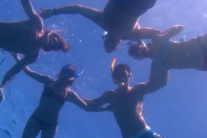 Hawaiian Canoe Sailing Experience in Maui - Wildlife You May See Off Wailea (And Why It Matters)