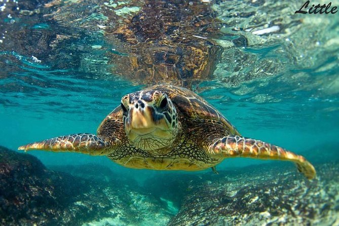 Hawaiian Outrigger Canoe Cultural and Turtle Tour - Wailea Beach check-in and getting on an outrigger (without drama)