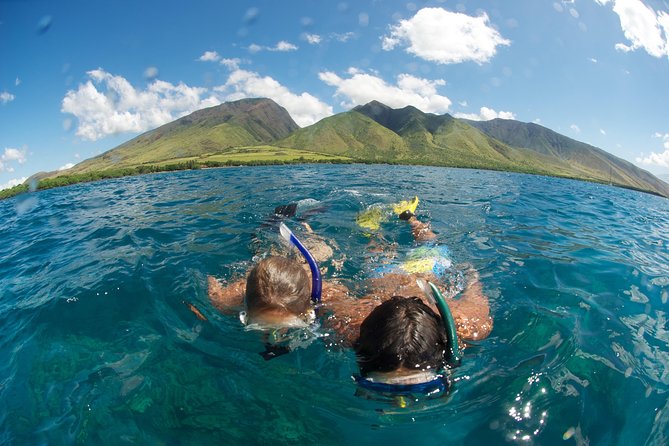 Hawaiian Outrigger Canoe Cultural and Turtle Tour - Seating, comfort, and gear reality checks