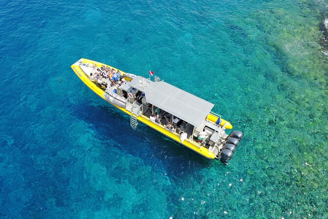 HIGH QUALITY Whale Watch Adventure Aboard Luxury Super Raft - The onboard experience: hydrophones, drinks, and real room to move