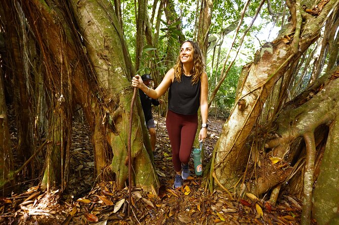 Hike Honolua Ridgeline - Where you start: 800 Office Rd and a calm, easy morning