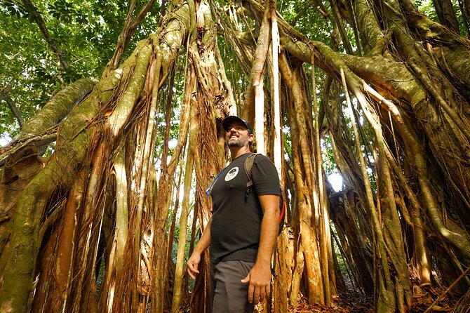 Hike Honolua Ridgeline - Timing: why 3 hours 15 minutes matters on a short hike
