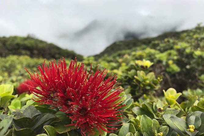Hike Honolua Ridgeline - What to bring so the ridge feels easy