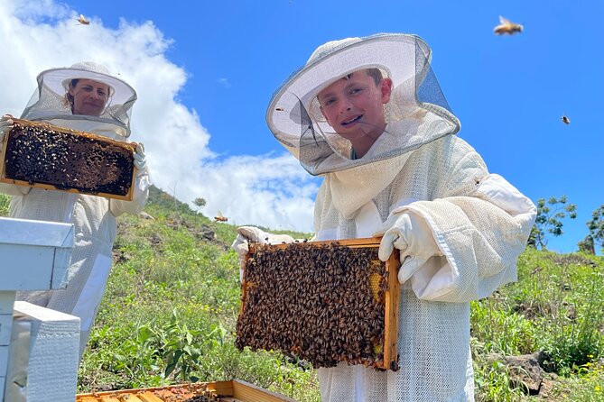 Honey Bee Adventure at the Maui Honey Bee Sanctuary - The Honeybee Lesson: Pollination, Honey-Making, and Maui’s Bigger Picture
