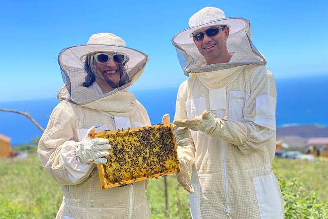 Honey Bee Adventure at the Maui Honey Bee Sanctuary - Who This Tour Suits Best (And Who Should Skip It)