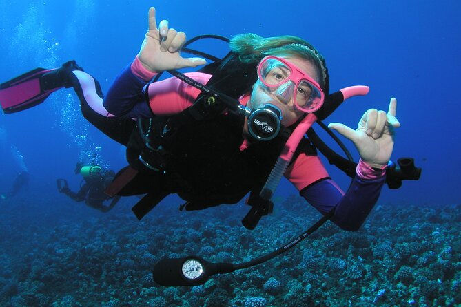 Intro/Refresher Dive Swim Ability Required - Entering Maui Water With a True Intro Scuba Lesson