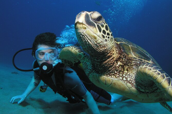 Intro/Refresher Dive Swim Ability Required - What Happens During the 2-Hour Intro Session