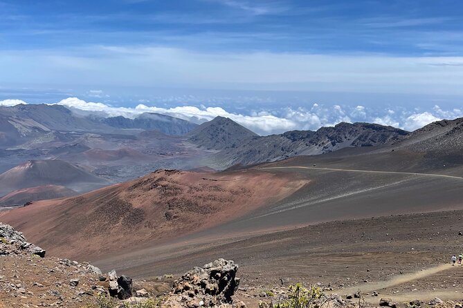 Island of Maui Customized Half Day Tour - Entering Maui by your rules, not a packed bus schedule