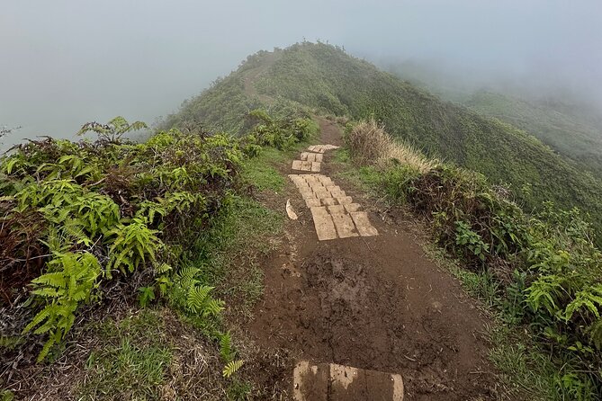 Island of Maui Customized Half Day Tour - Local flavors you don’t have to research on your own