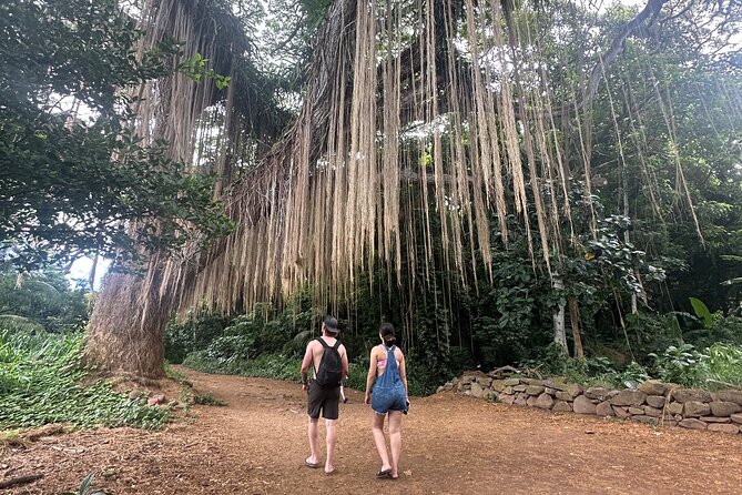 Island of Maui Customized Half Day Tour - The photo service that saves you time and stress