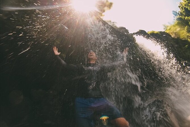 Jungle Waterfall Adventure on Maui - The Half-Day Timing: 3 Hours 30 Minutes, Morning or Afternoon