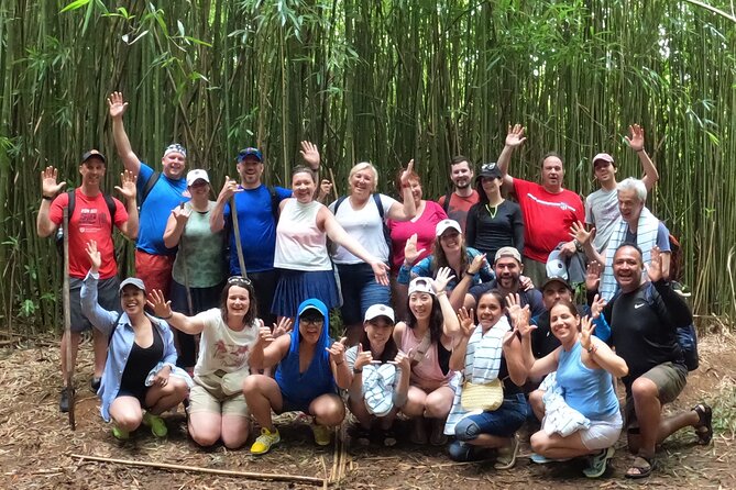 Jungle Waterfall Adventure on Maui - Waterfalls, Rope Swings, and Cliff Jumping Options